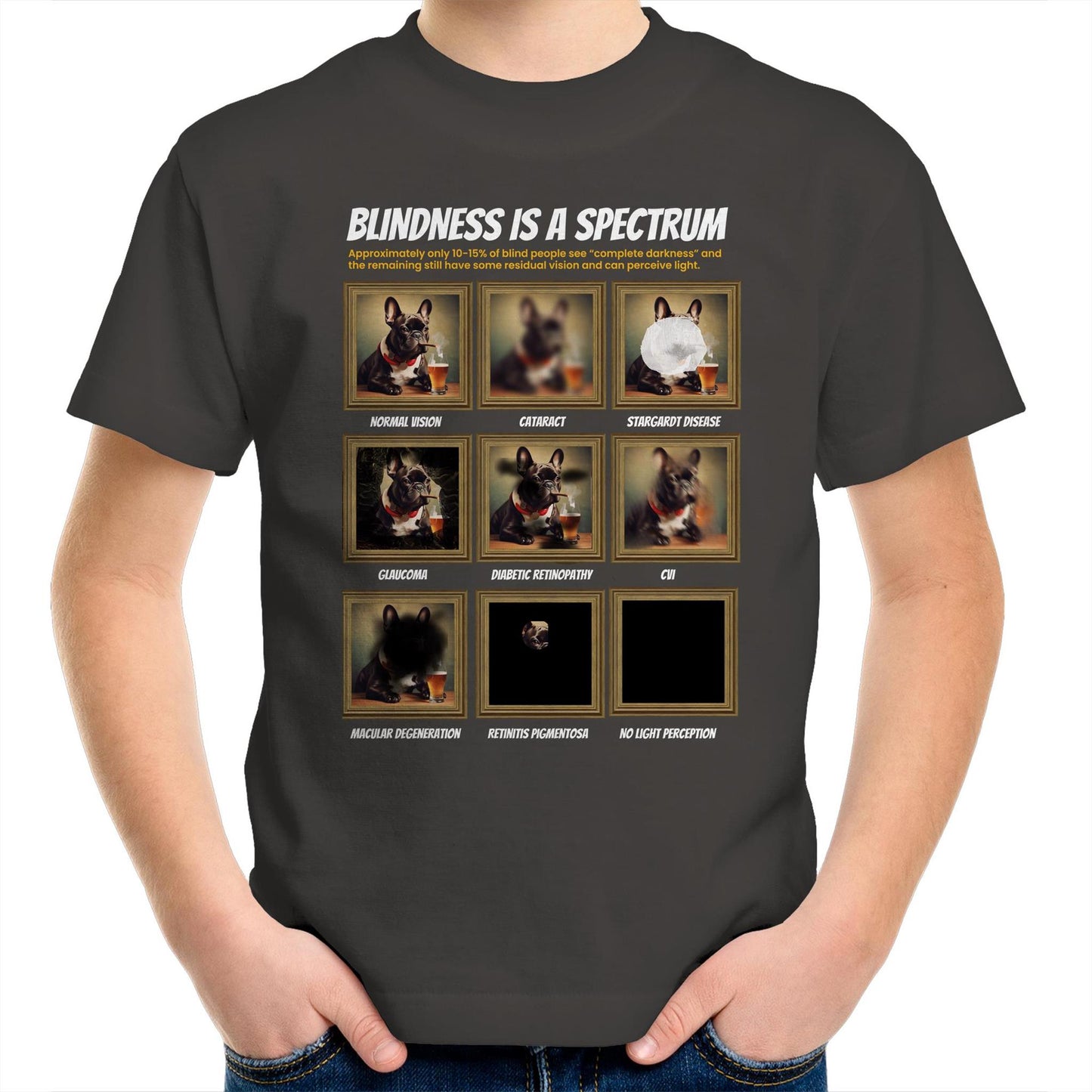 French Bulldog Blindness Gallery Kids Youth T-Shirt